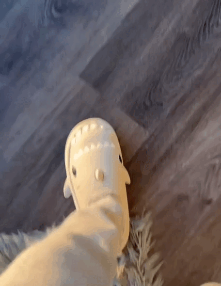 Zapatillas de Tiburón
