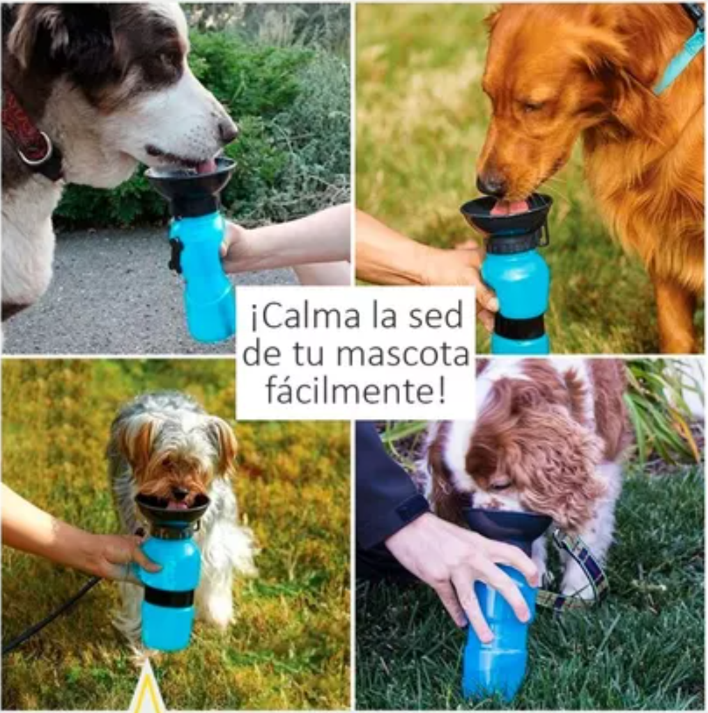 🐶Aqua Dog - Bebedero Termo para Mascotas